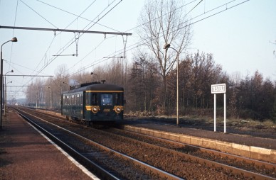Testelt  - 4906 - 1981-11-30 - Pierre HERBIET.jpg